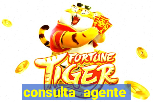 consulta agente autuador sp